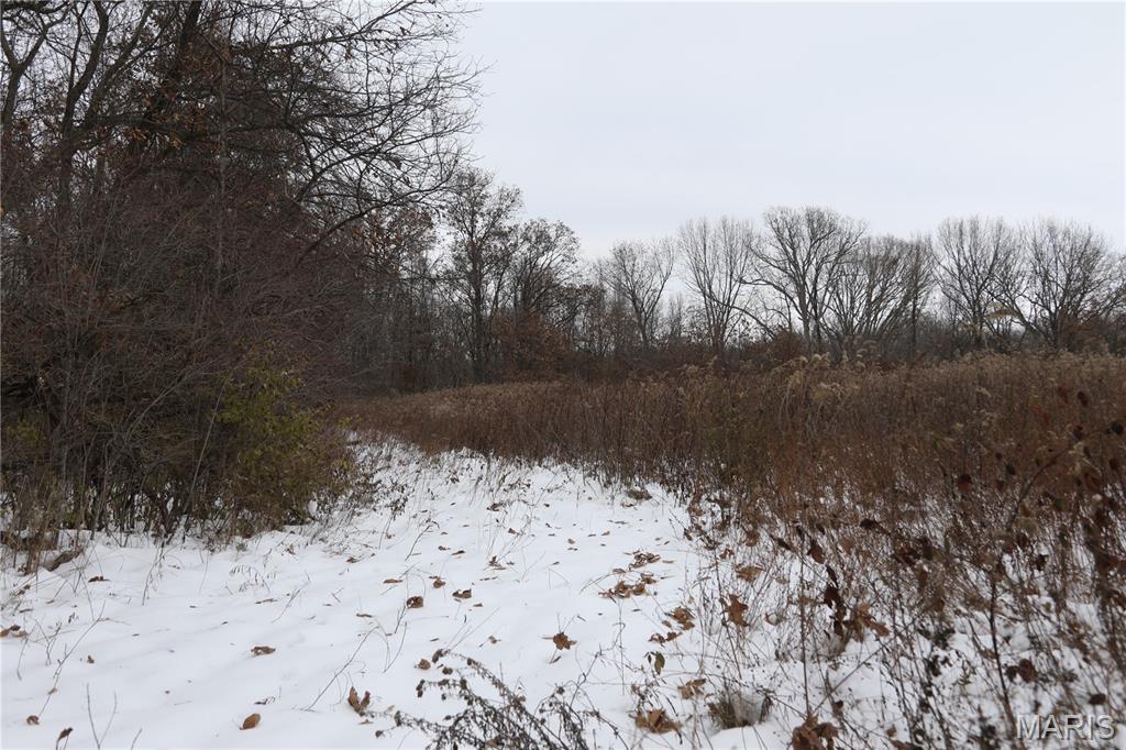 1965 Stringtown Road Sorento, IL 62086 - Photo 29 of 45