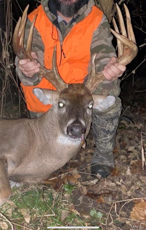 1965 Stringtown Road Sorento, IL 62086 - Photo 35 of 45