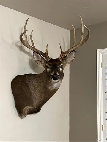 $300,000 | 1965 Stringtown Road, Sorento, IL 62086