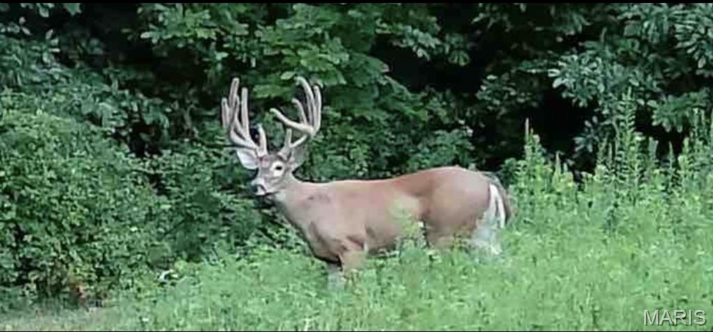 1965 Stringtown Road Sorento, IL 62086 - Photo 42 of 45