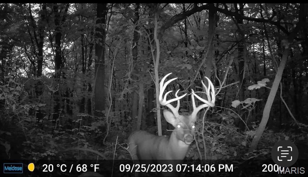 1965 Stringtown Road Sorento, IL 62086 - Photo 43 of 45