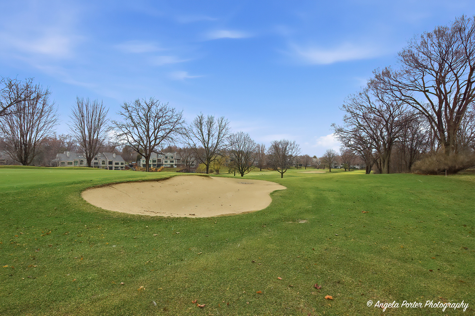 890 Shoreline Road Lake Barrington, IL 60010 - Photo 34 of 42 a view of outdoor space yard and green space