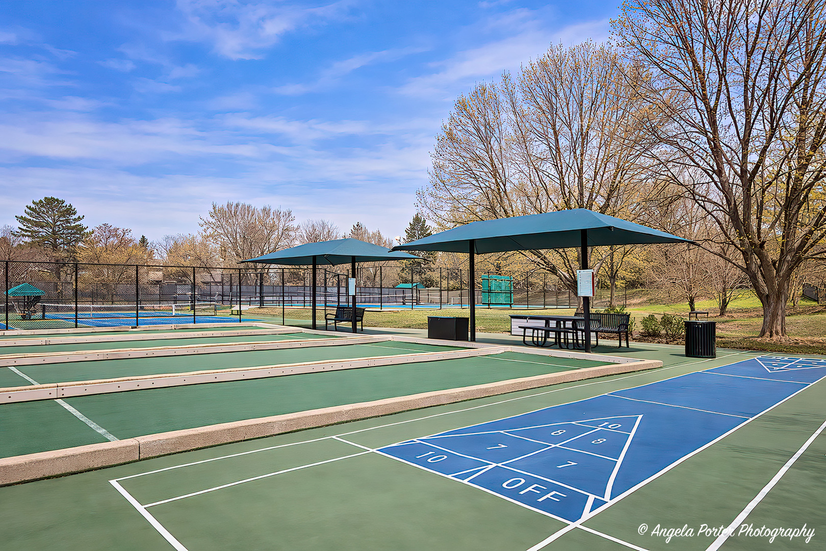 890 Shoreline Road Lake Barrington, IL 60010 - Photo 39 of 42 a view of tennis court with lots of trees and plants