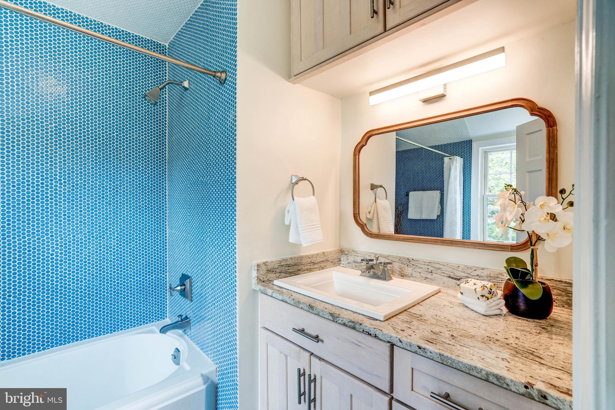 4507 Dalton Road Chevy Chase, MD 20815 - Photo 43 of 78