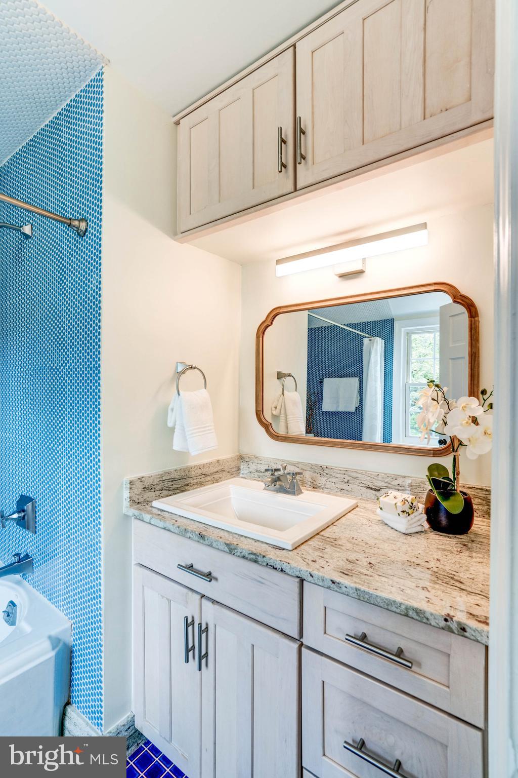 4507 Dalton Road Chevy Chase, MD 20815 - Photo 44 of 78