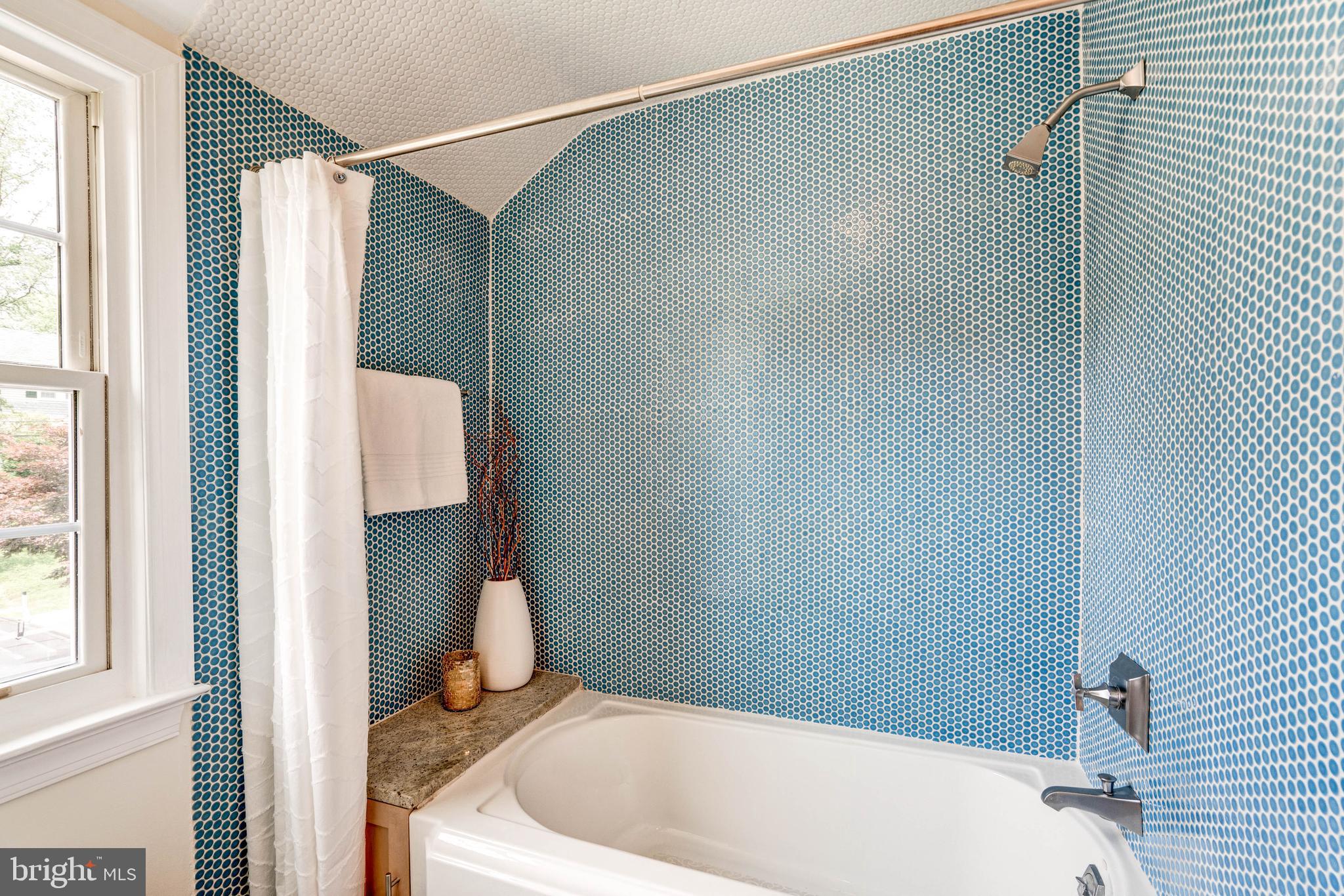 4507 Dalton Road Chevy Chase, MD 20815 - Photo 45 of 78