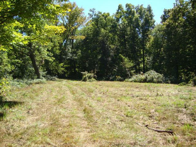0 Lebanon Road Crittenden, KY 41030 - Photo 4 of 4