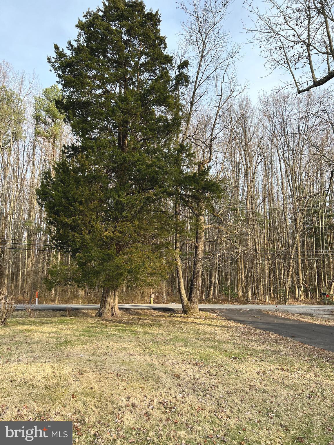 1446 Log Inn Road Annapolis, MD 21409 - Photo 2 of 38 Street view from front
