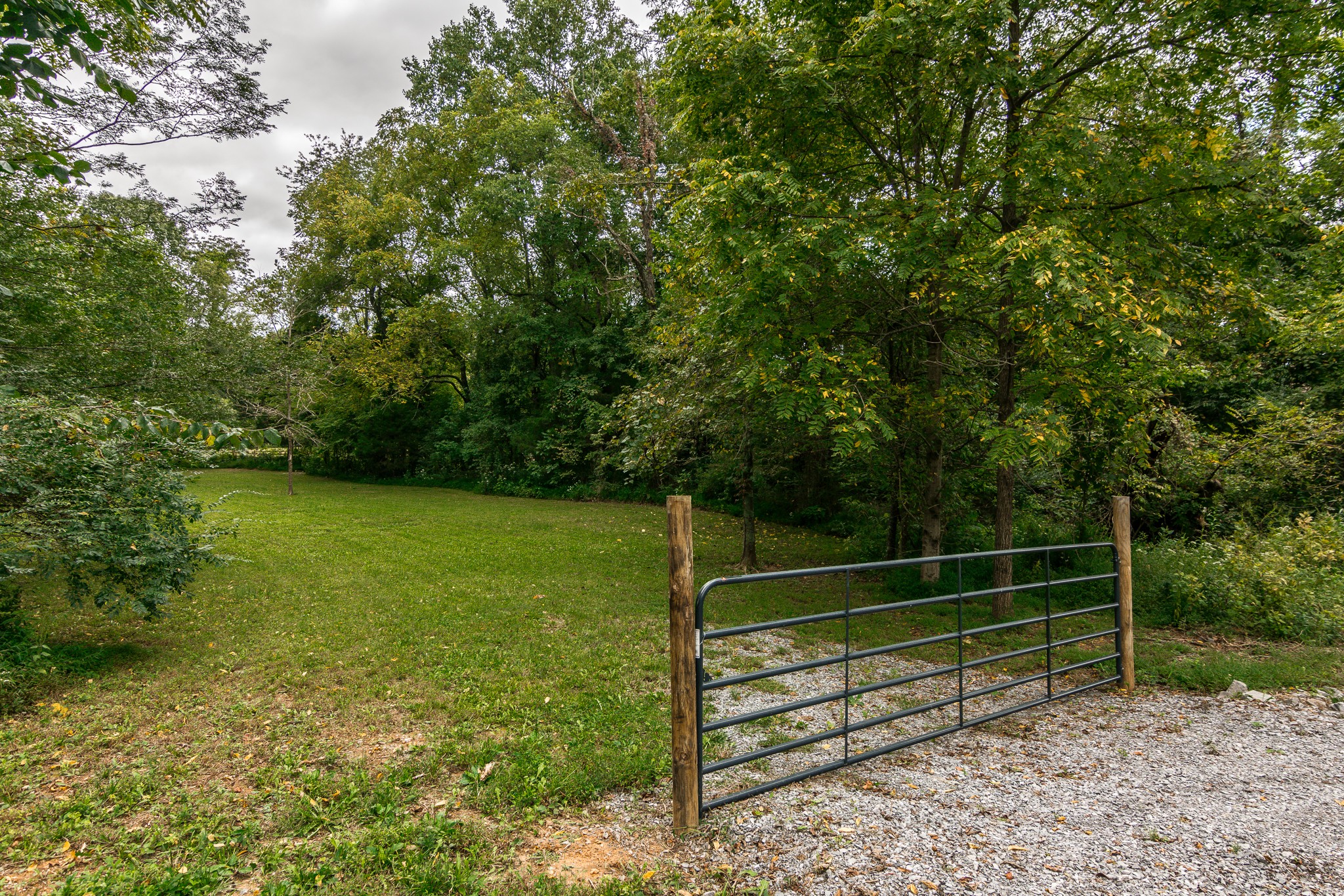 377 Tom Link Road Cottontown, TN 37048 - Photo 45 of 46 a view of a park