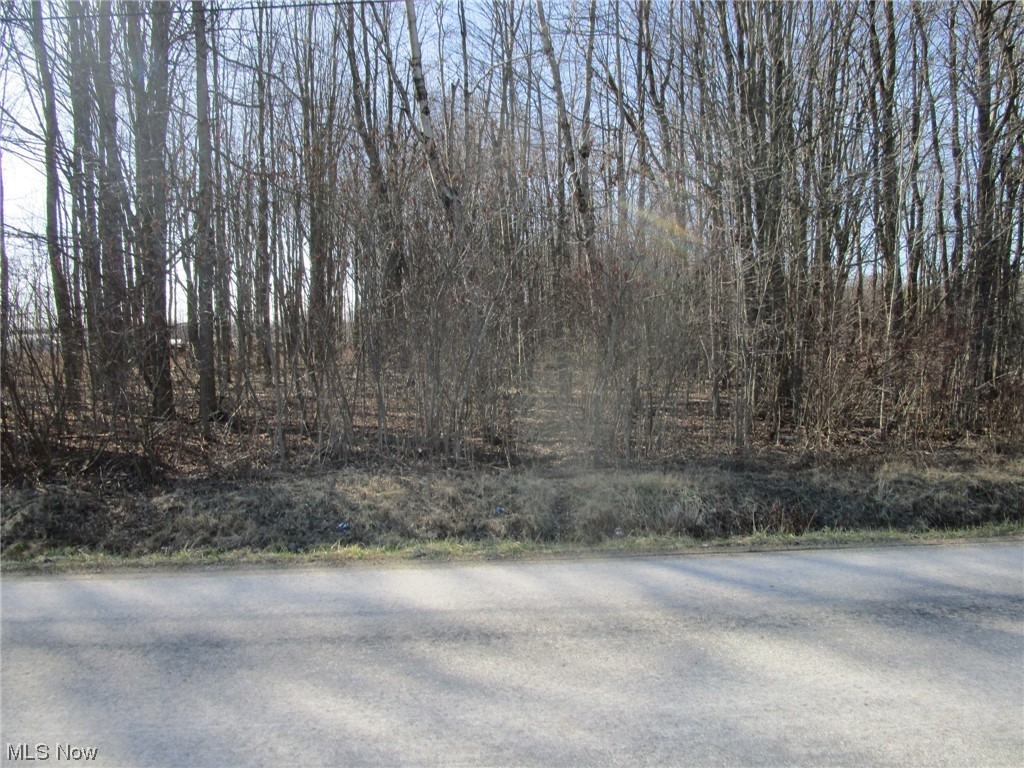1 Middle Road Pierpont, OH 44082 - Photo 5 of 14