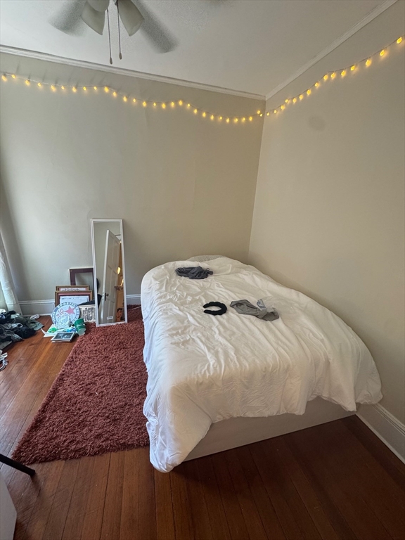 1217 Beacon Street, Unit 7 Brookline, MA 02446 - Photo 3 of 6