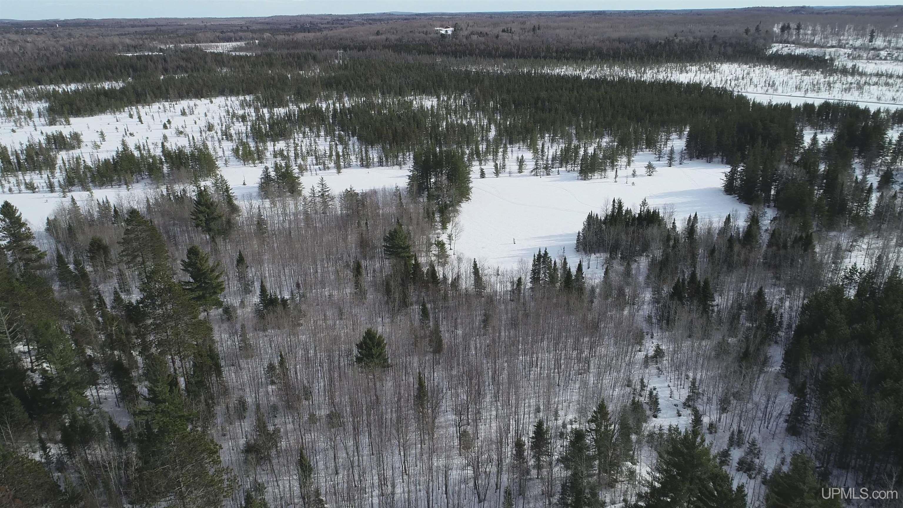 40-acres Off County Cv Road Champion, MI 49814 - Photo 24 of 45
