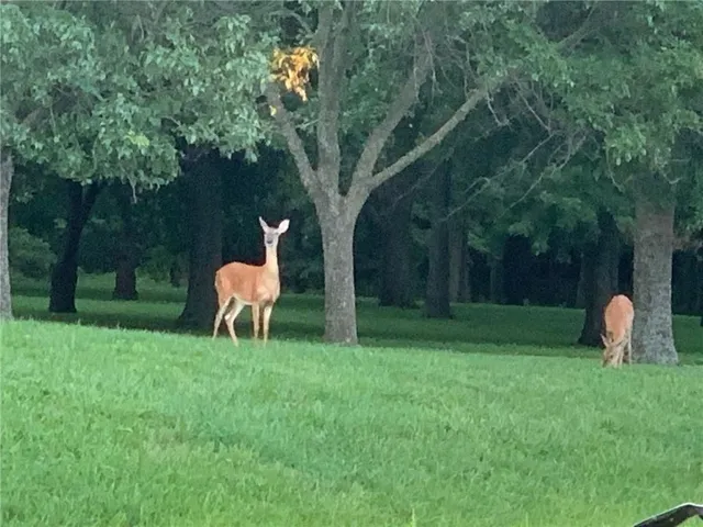 $799,000 | 26666 Cold Water Road, Louisburg, KS 66053