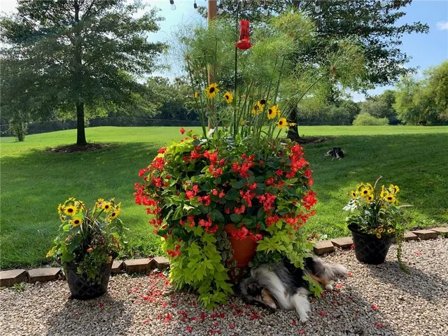 $799,000 | 26666 Cold Water Road, Louisburg, KS 66053