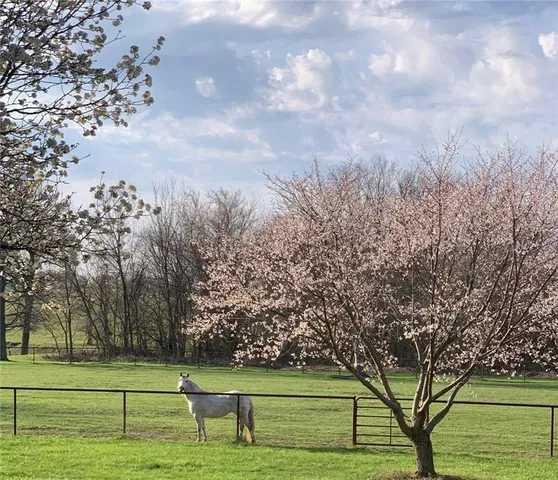 $799,000 | 26666 Cold Water Road, Louisburg, KS 66053