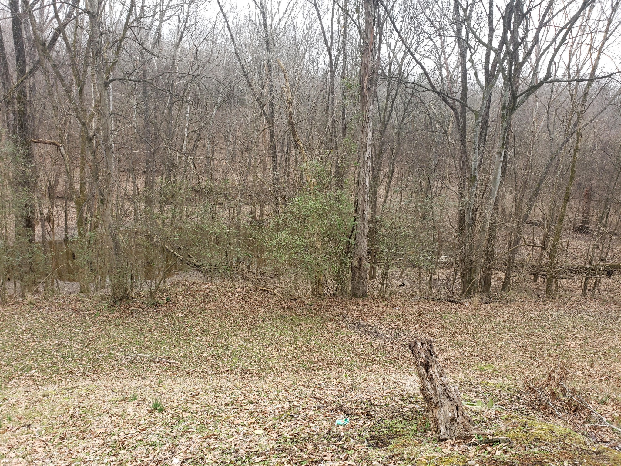 1557 River Road Clarksville, TN 37040 - Photo 17 of 17 Gallery Image 17