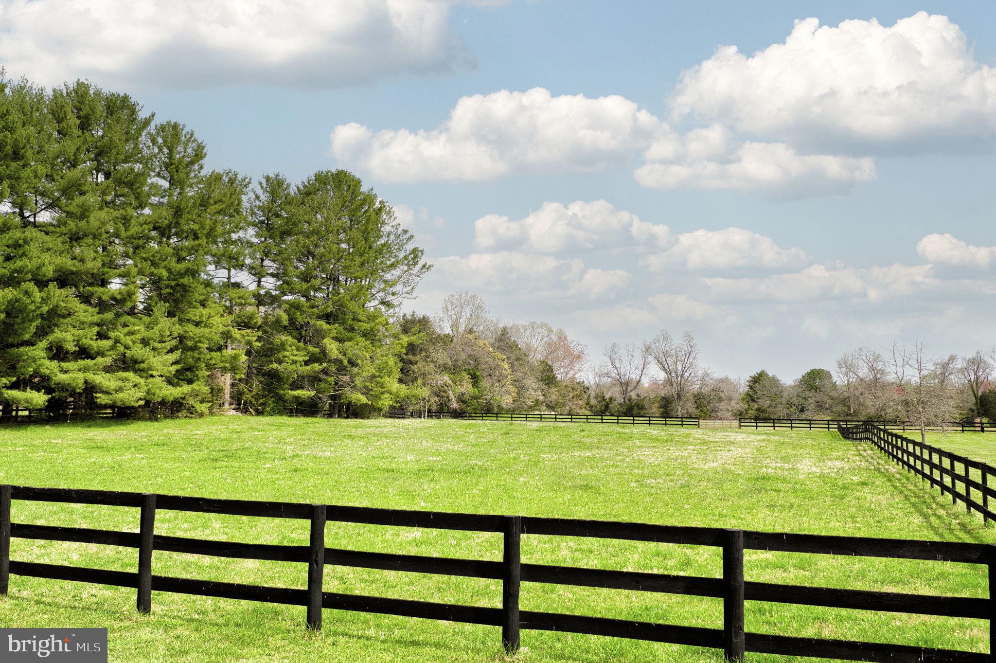 16616 Gaines Road Broad Run, VA 20137 - Photo 27 of 144 Gallery Image 27