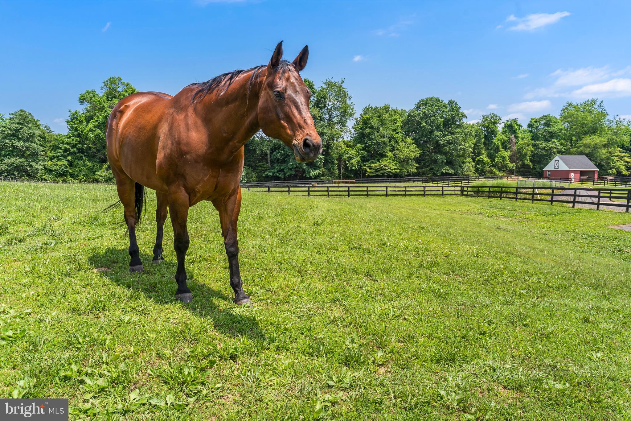 16616 Gaines Road Broad Run, VA 20137 - Photo 29 of 144 Gallery Image 29