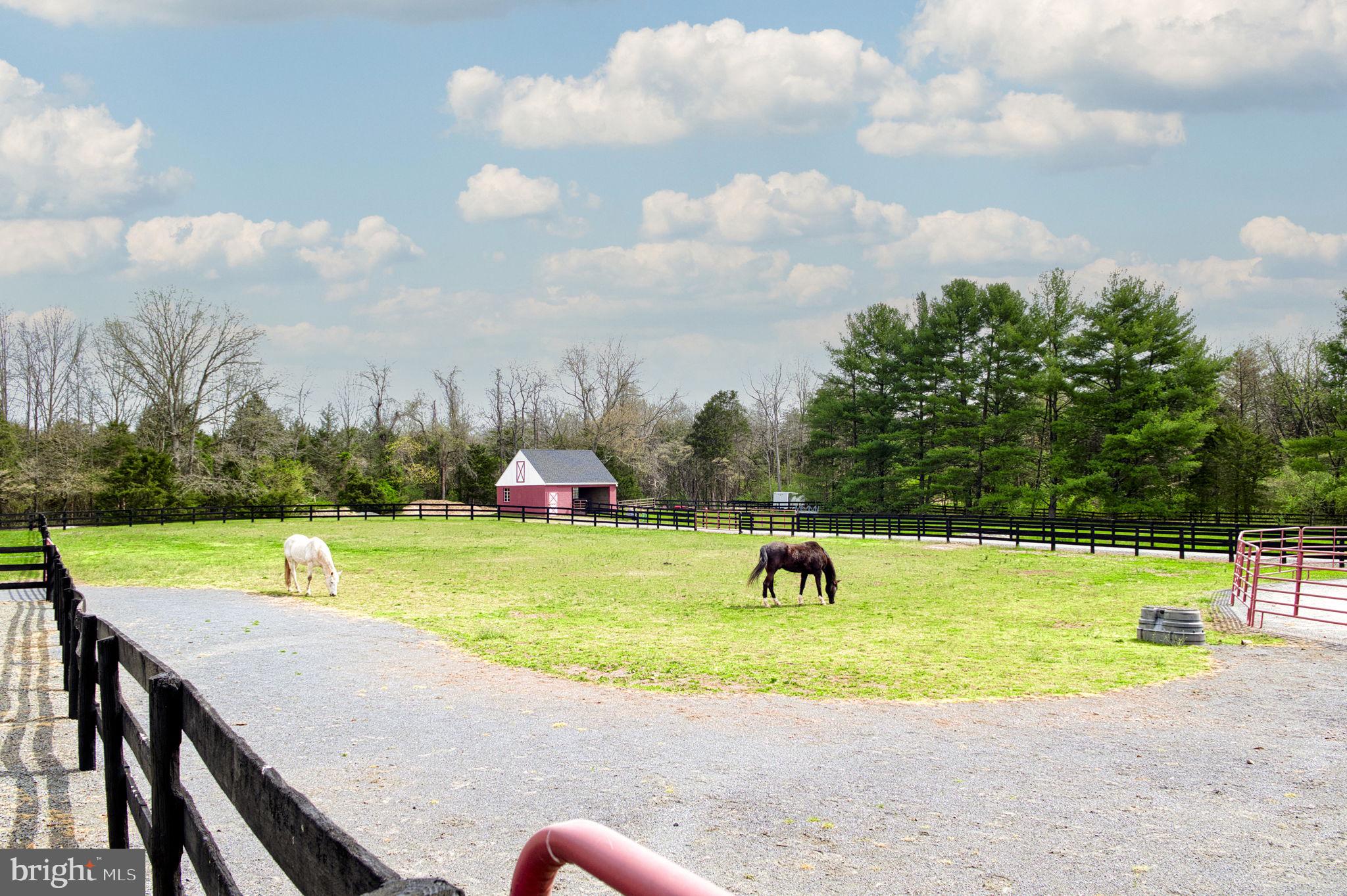 16616 Gaines Road Broad Run, VA 20137 - Photo 30 of 144 Gallery Image 30