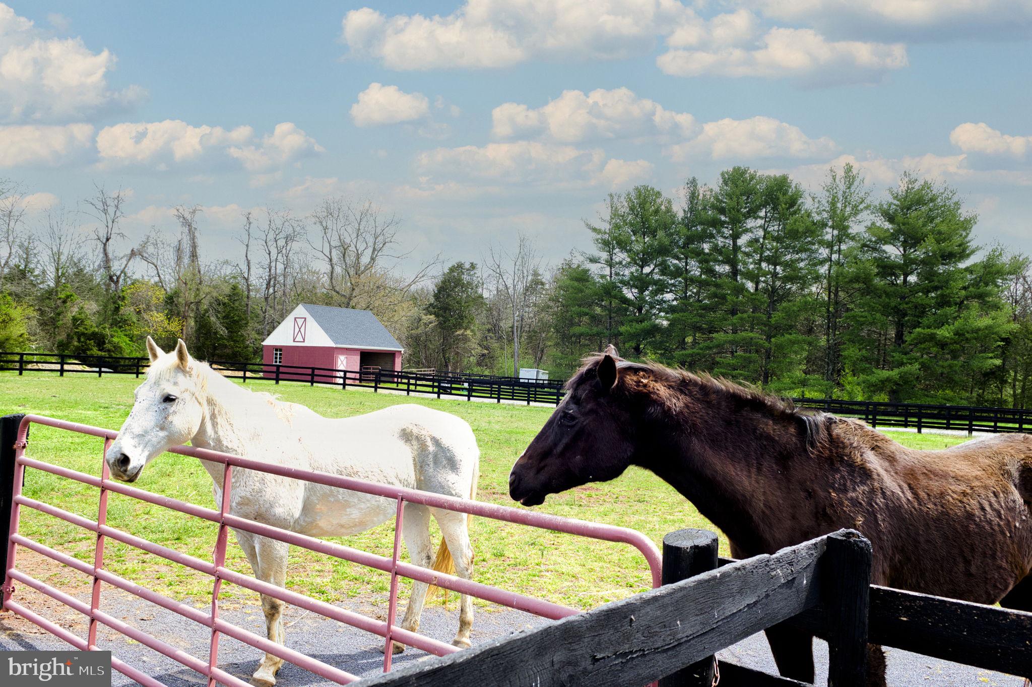 16616 Gaines Road Broad Run, VA 20137 - Photo 31 of 144 Gallery Image 31