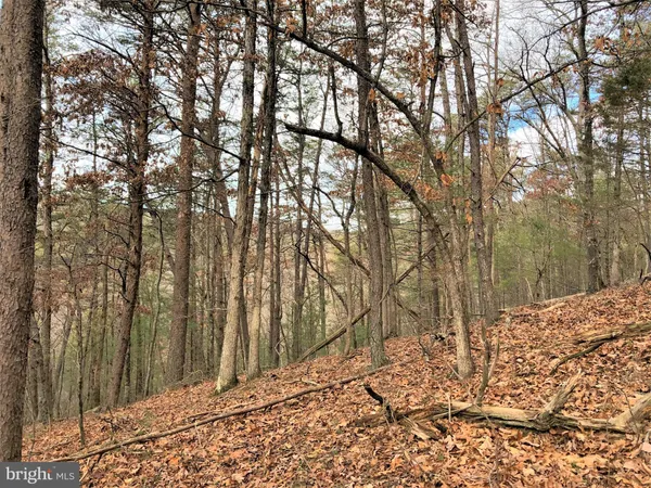 a view of a backyard of the house