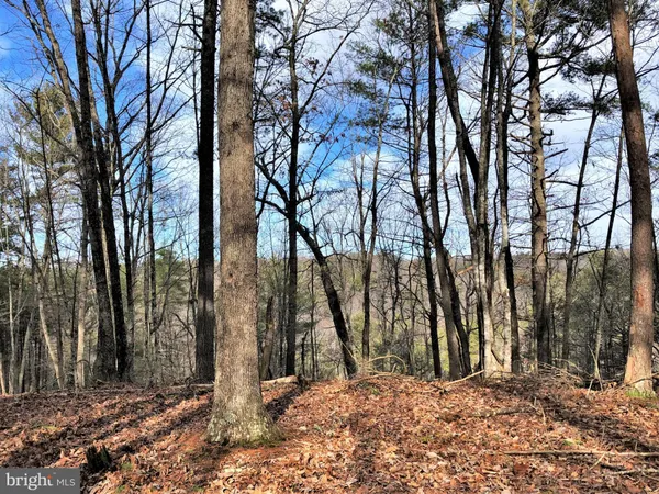 a view of outdoor space with trees