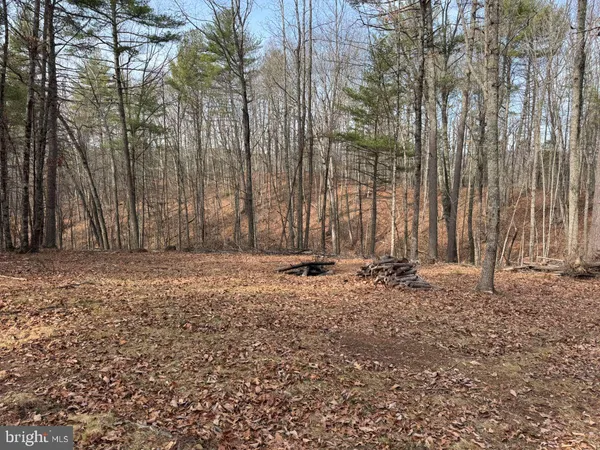 a view of a backyard with large trees and wooden fence