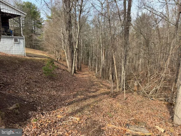 a view of backyard with green space