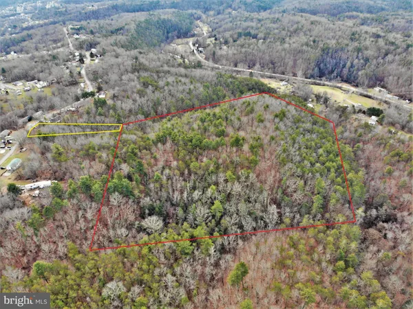 a view of a field with a tree