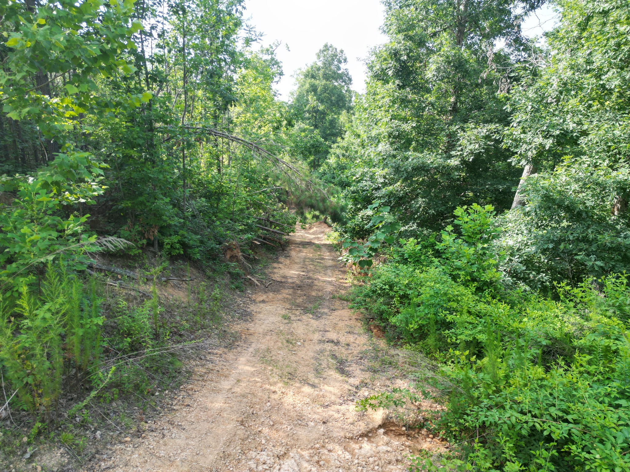 0 Toll Hollow Road Waynesboro, TN 38485 - Photo 25 of 43