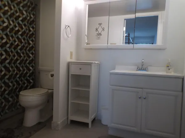 a bathroom with a sink and a toilet