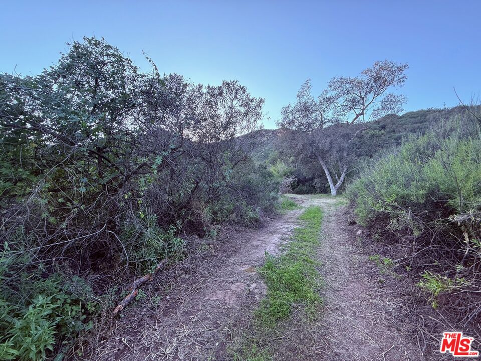 23629 Zuniga Road Topanga, CA 90290 - Photo 16 of 21