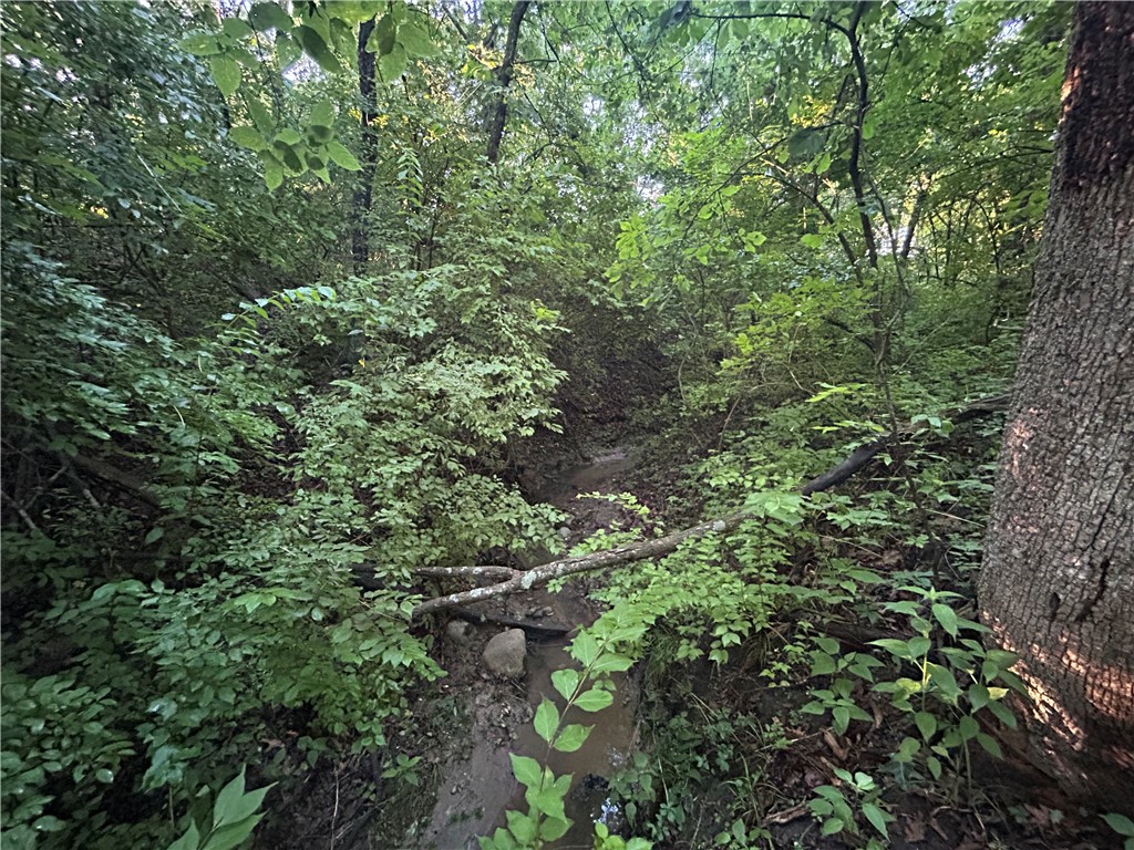 Mount Auburn Blacktop Decatur Il 62522 Decatur, IL 62522 - Photo 19 of 22 a view of a forest with plants and trees