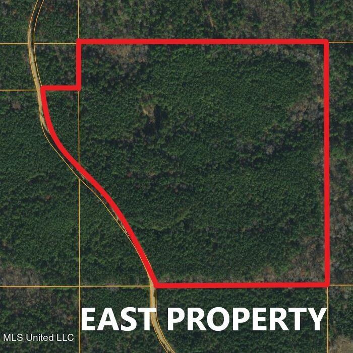 Green Door Road Eupora, MS 39744 - Photo 3 of 11 East 2