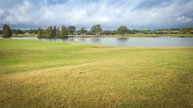 a city view with tall buildings in back yard