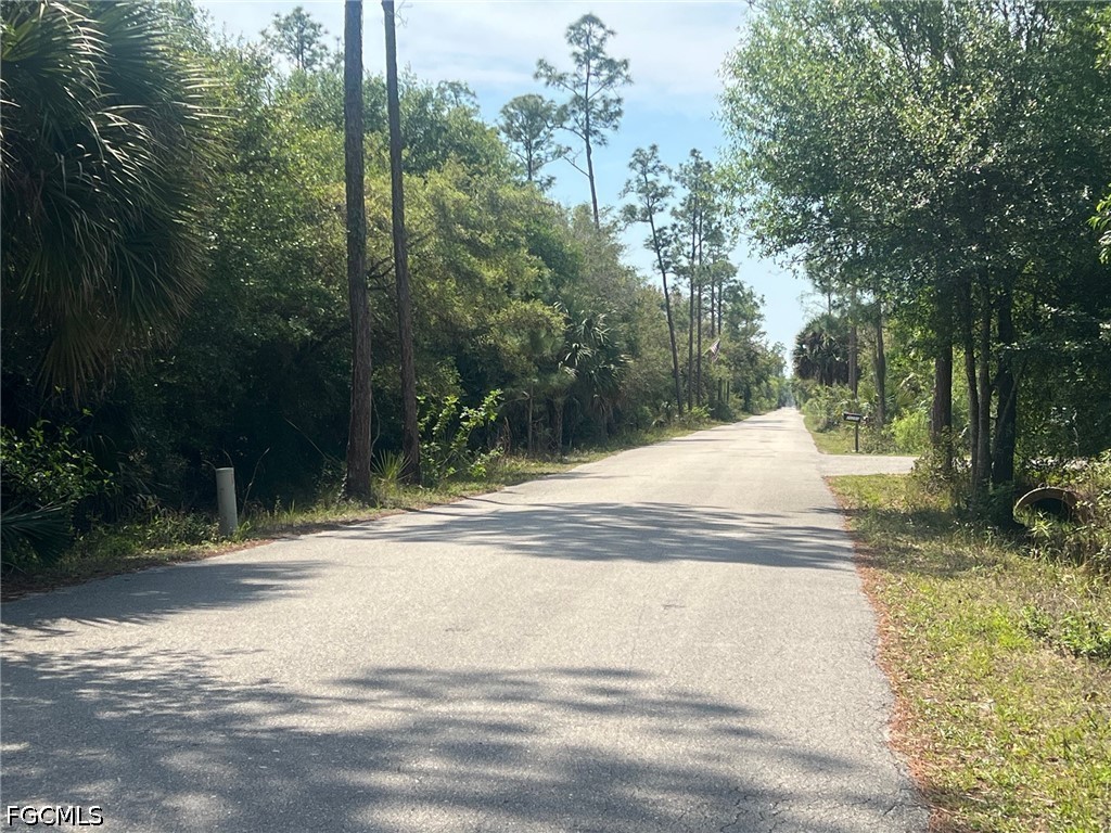 20821 Lazy D Farm Road Estero, FL 33928 - Photo 3 of 6