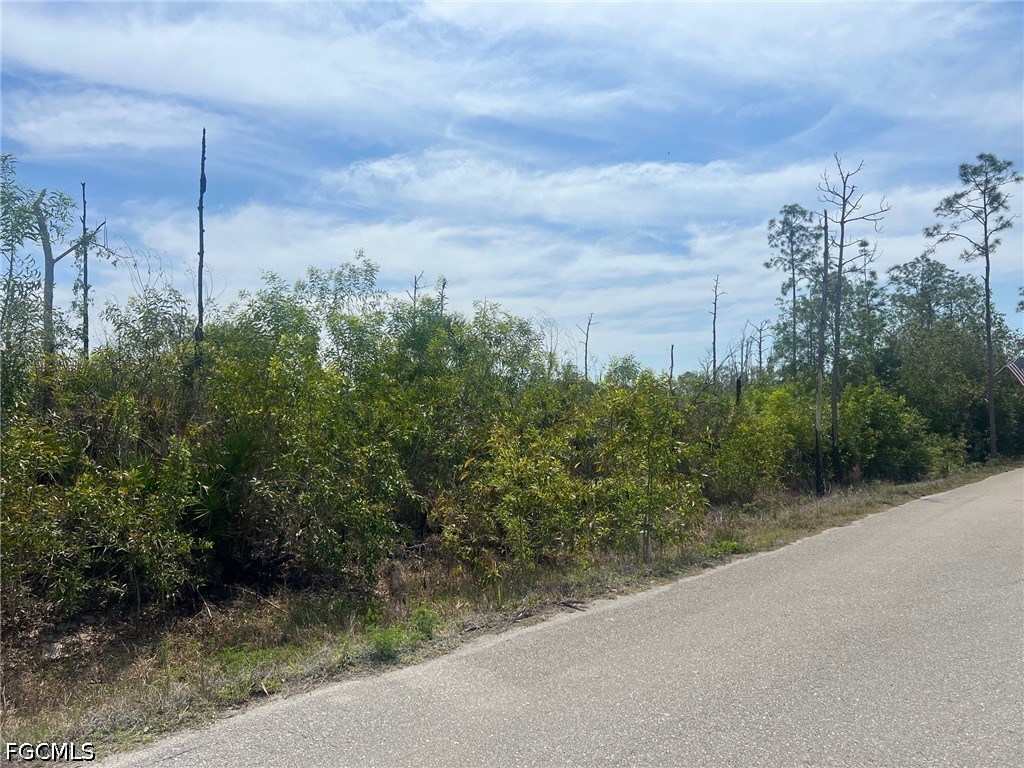 20821 Lazy D Farm Road Estero, FL 33928 - Photo 4 of 6