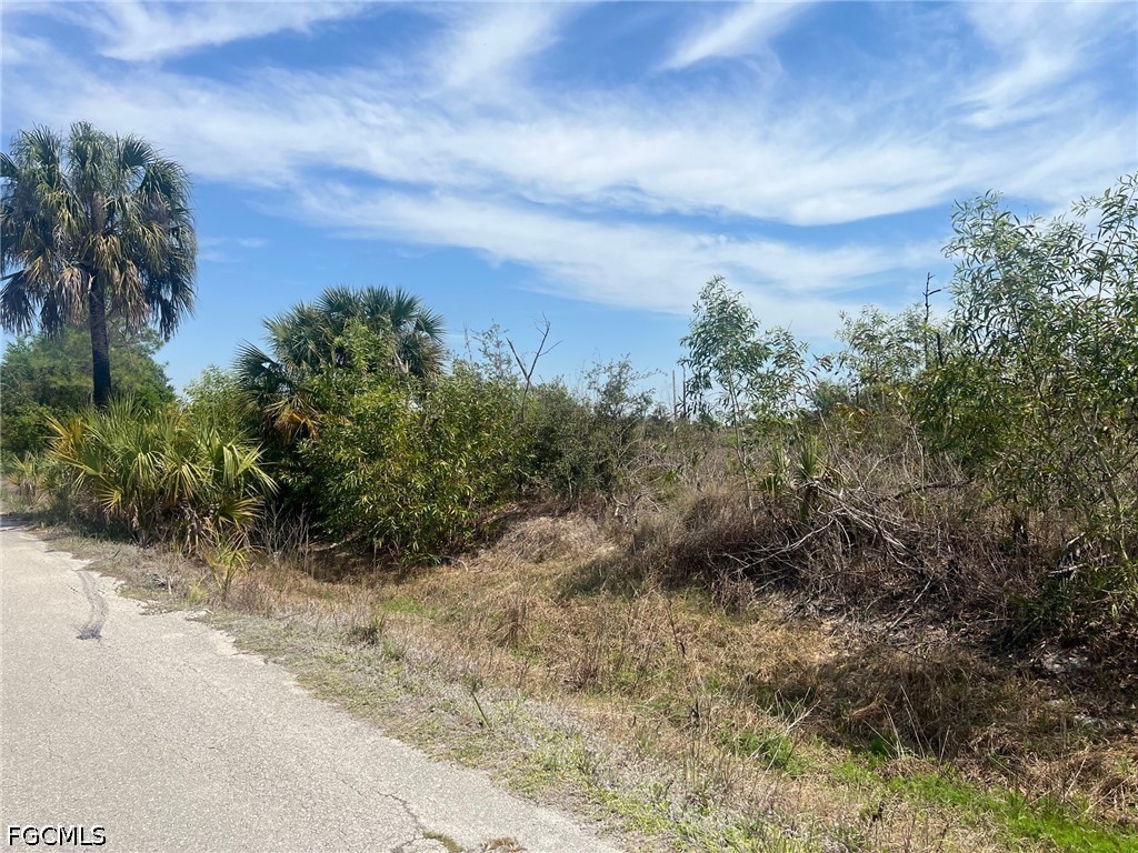 20821 Lazy D Farm Road Estero, FL 33928 - Photo 5 of 6