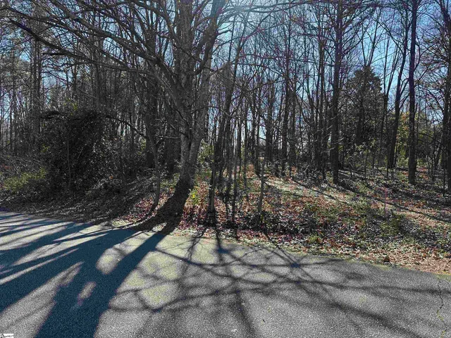 $1,195,000 | 100 Berry Drive, Greenville, SC 29607