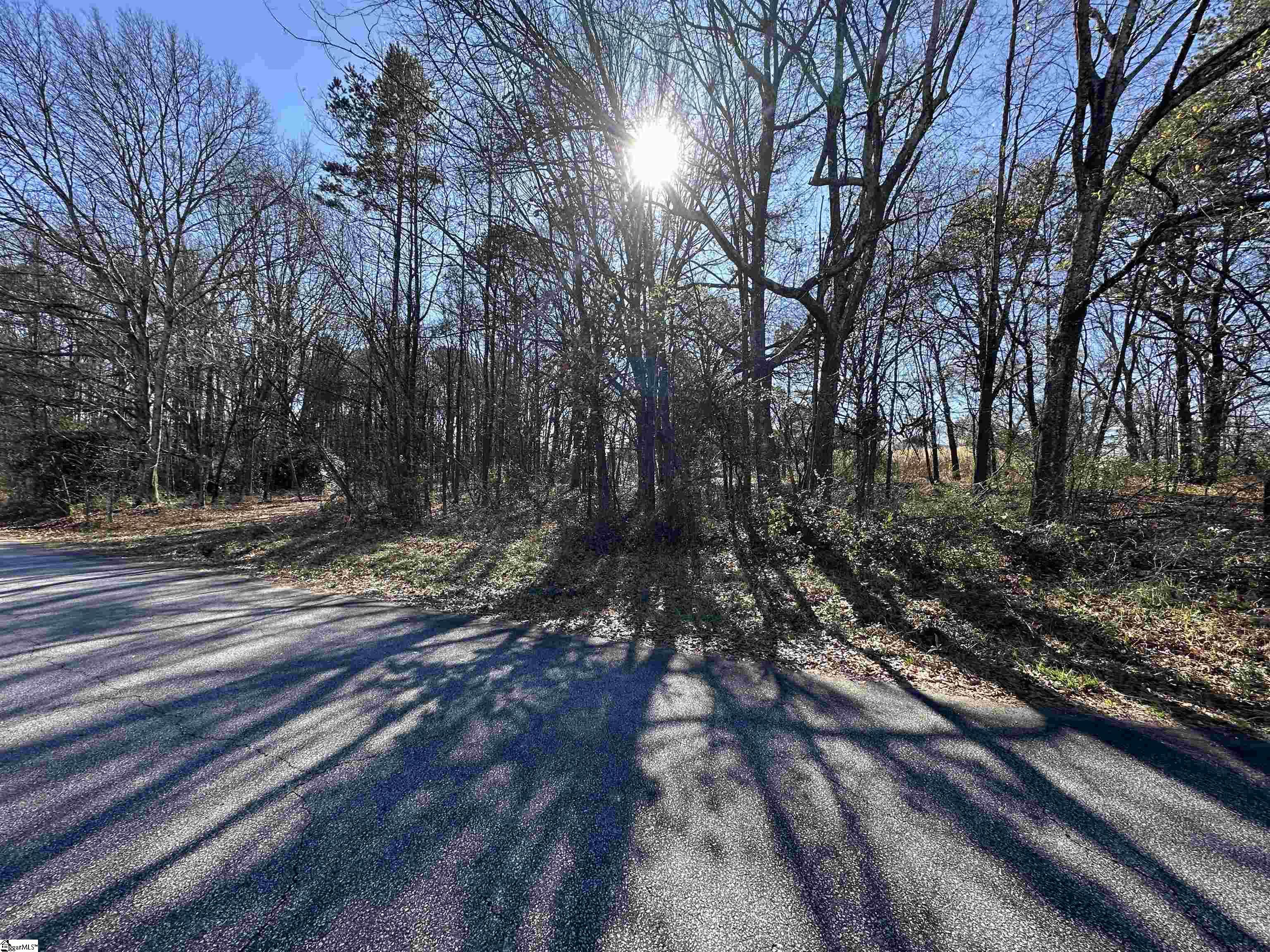 100 Berry Drive Greenville, SC 29607 - Photo 4 of 10