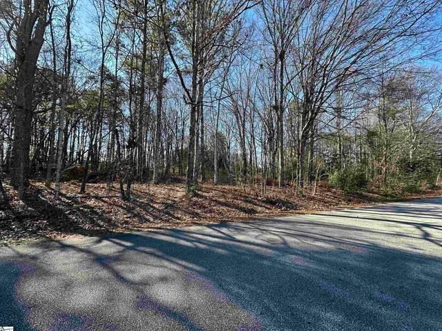 $1,195,000 | 100 Berry Drive, Greenville, SC 29607