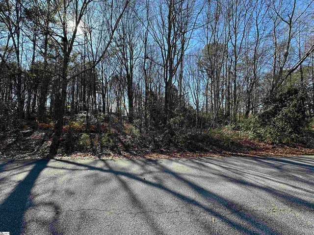 $1,195,000 | 100 Berry Drive, Greenville, SC 29607