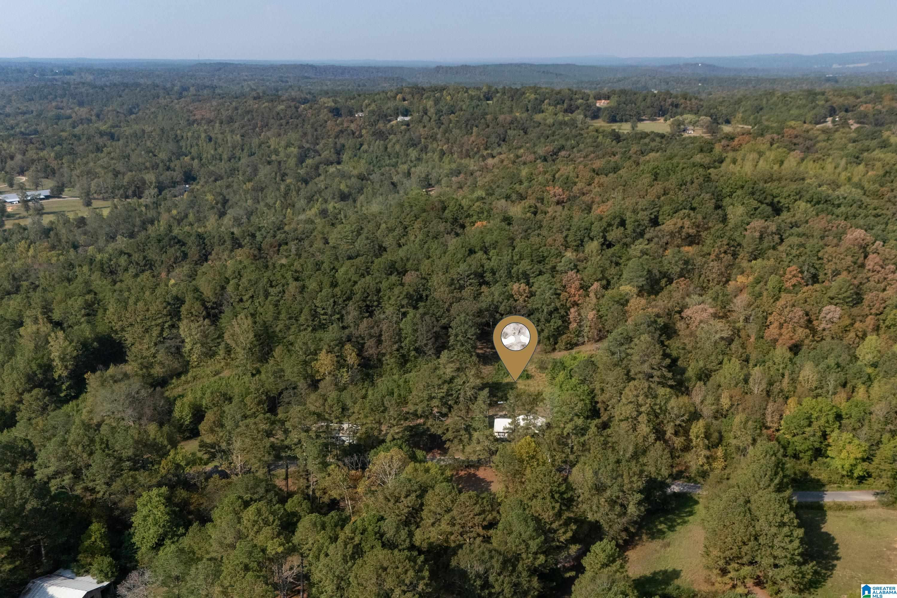 2787 Deavers Town Road Cleveland, AL 35049 - Photo 27 of 47