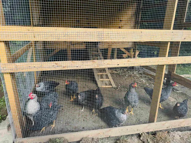 $247,900 | 1352 Mud Hollow Road, Kirby, VT 05824