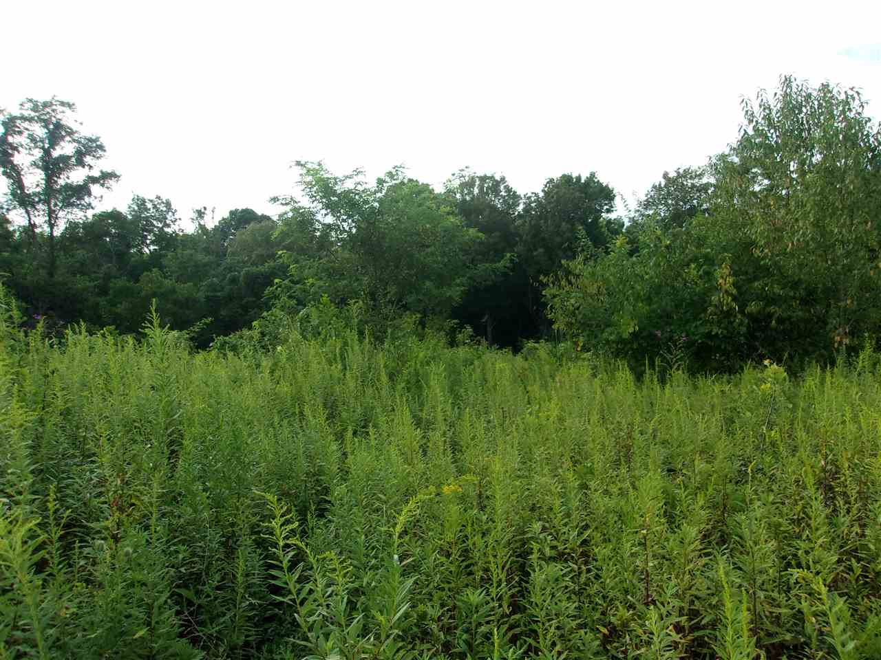 0 T T Wenz Road Dover, KY 41034 - Photo 12 of 35 Gallery Image 12