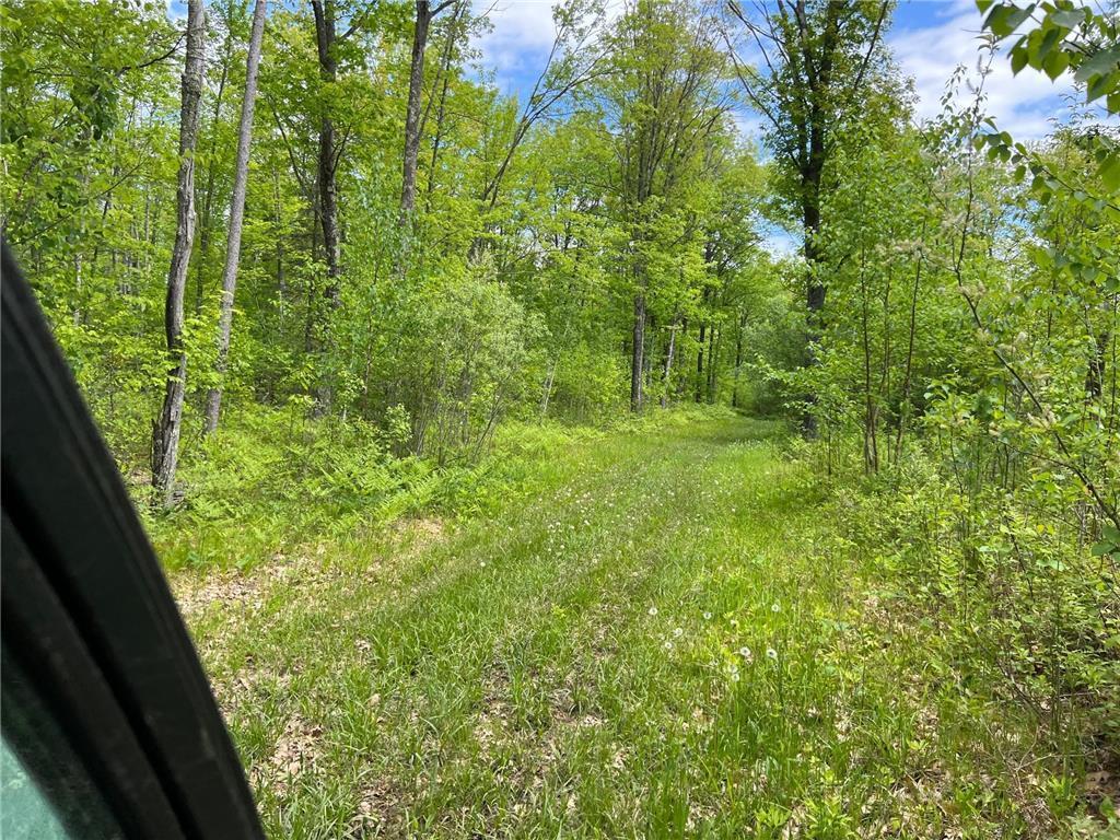70000 Rutabaga Road Sandstone, MN 55072 - Photo 1 of 1 Gallery Image 1