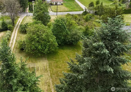 a view of a yard from a outdoor space