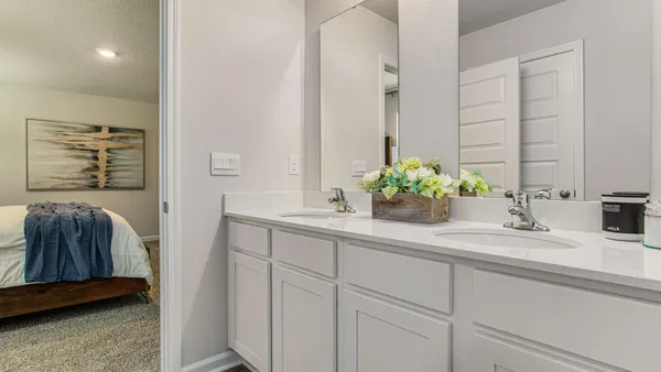 a bathroom with a sink a mirror and a potted plant