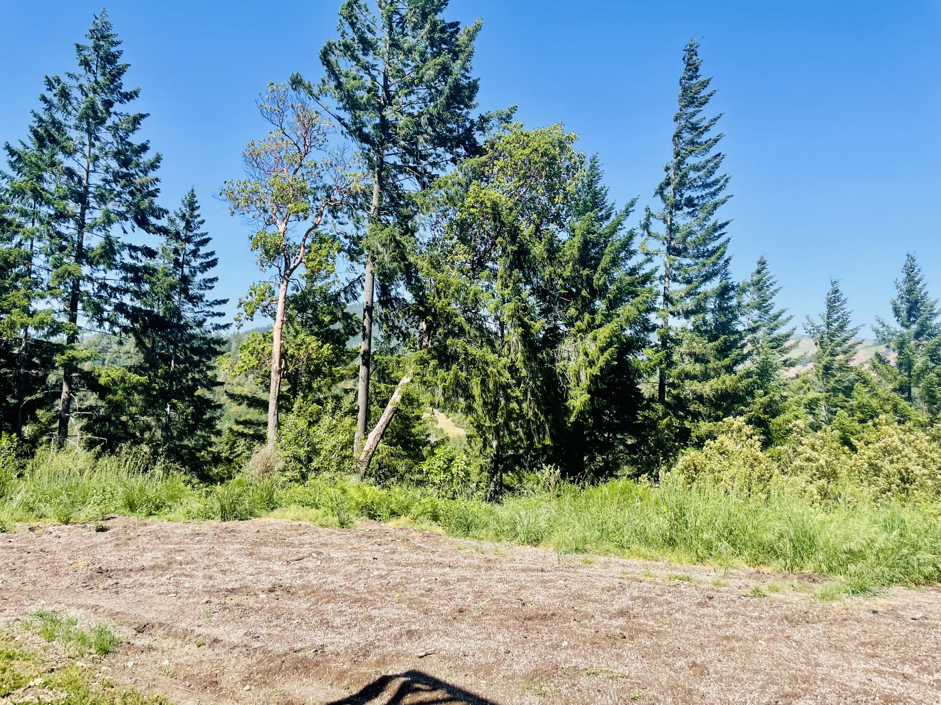 360 Graycliff Road Garberville, CA 95542 - Photo 48 of 63