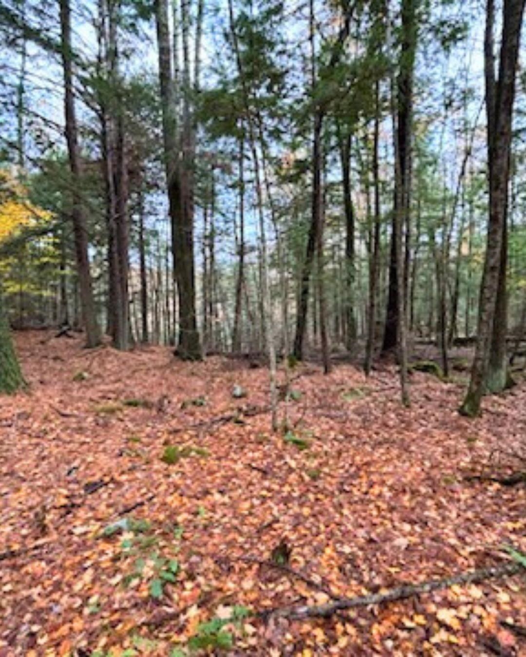 0 Concord Road Keene, NH 03431 - Photo 4 of 4